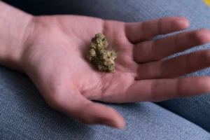 cannabis store san francisco