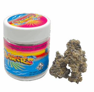 clarkies_government_oasis_flower